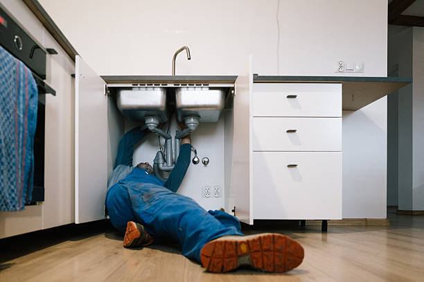 Professional Plumbing technician working in Lodi, WI